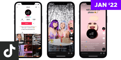 TikTok 'Live Subscription' Beta